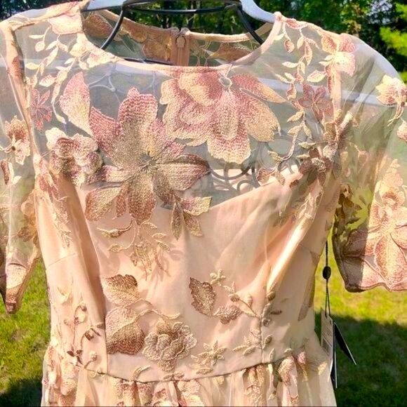 ADRIANNA PAPELL ROSE QUART LONG ILLUSION MESH DRESS 8 NWT - Picture 2 of 16